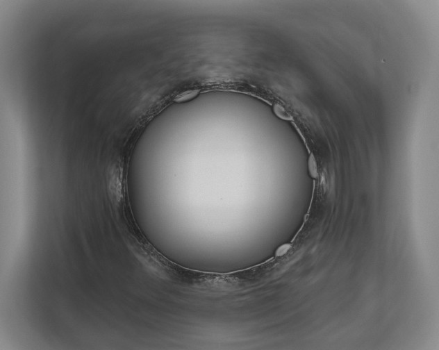 X0000112361348200908271245