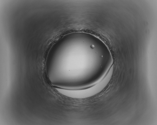 X0000112361349200908271245