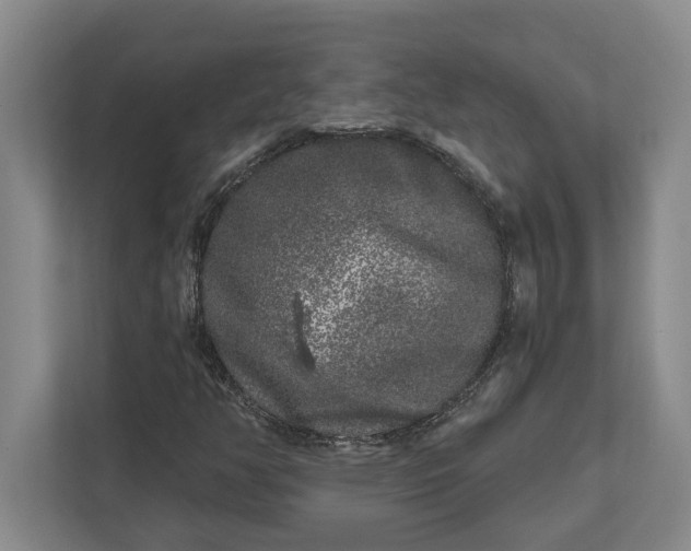 X0000112361350200908271245