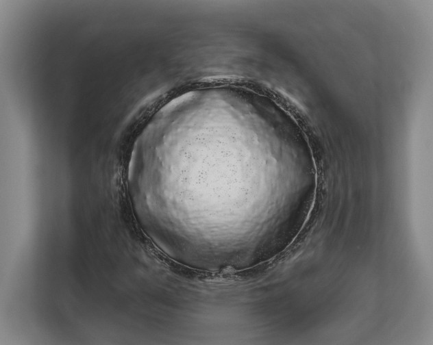 X0000112361351200908271245