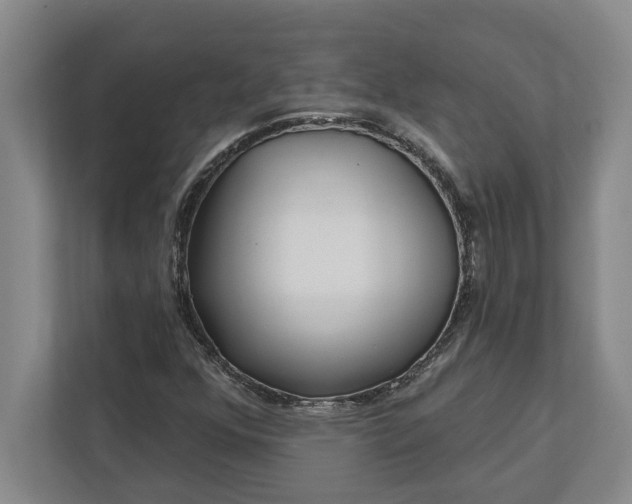 X0000112361352200908271245