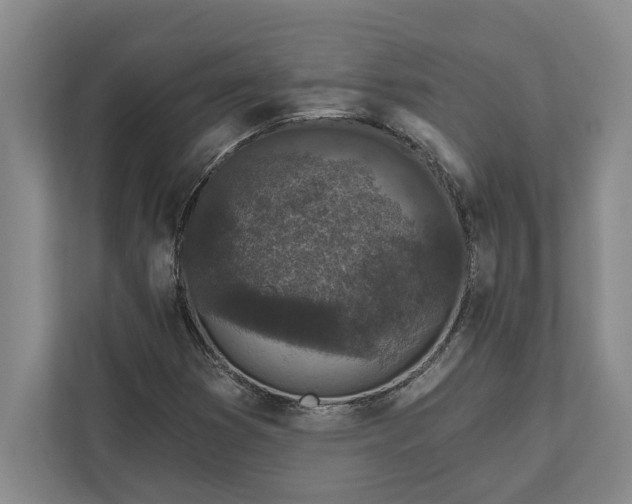 X0000112361353200908271245