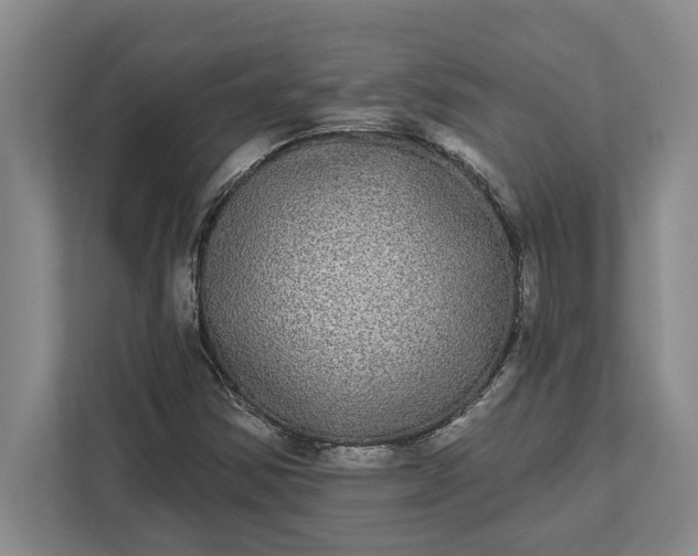 X0000112361354200908271245