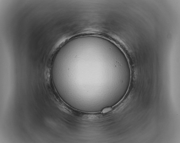 X0000112361355200908271245