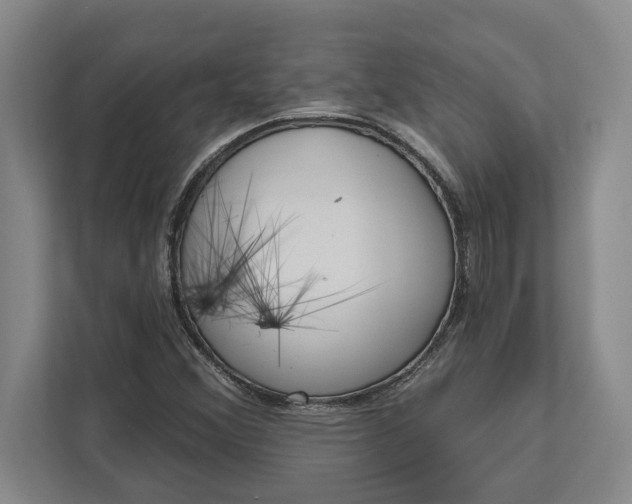 X0000112361356200908271245