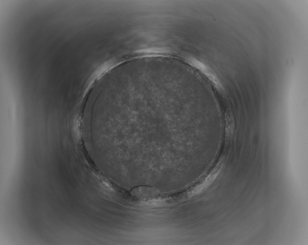 X0000112361357200908271245