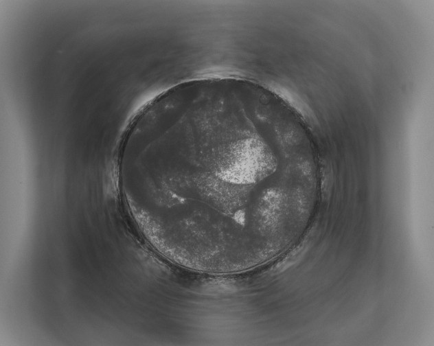 X0000112361358200908271245