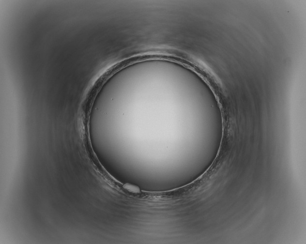 X0000112361360200908271245