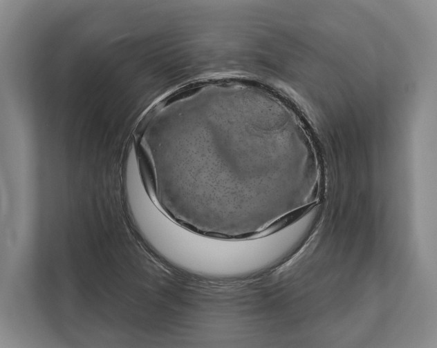 X0000112361361200908271245