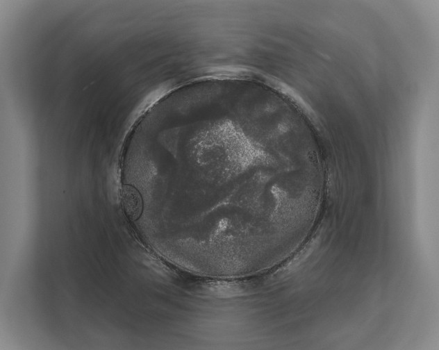 X0000112361362200908271245