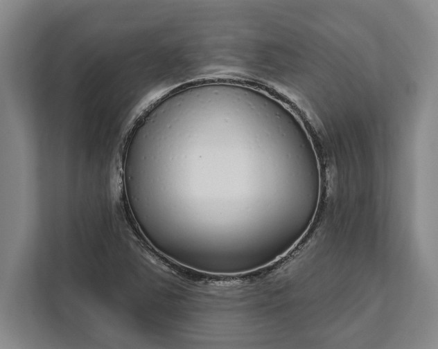 X0000112361363200908271245