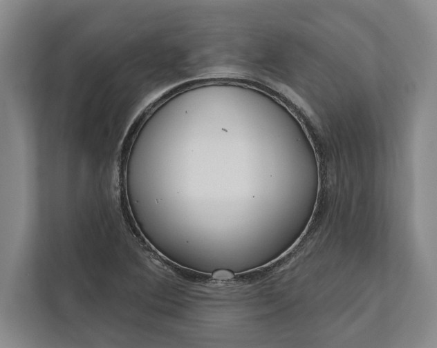 X0000112361364200908271245