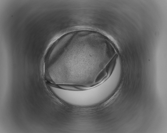 X0000112361365200908271245