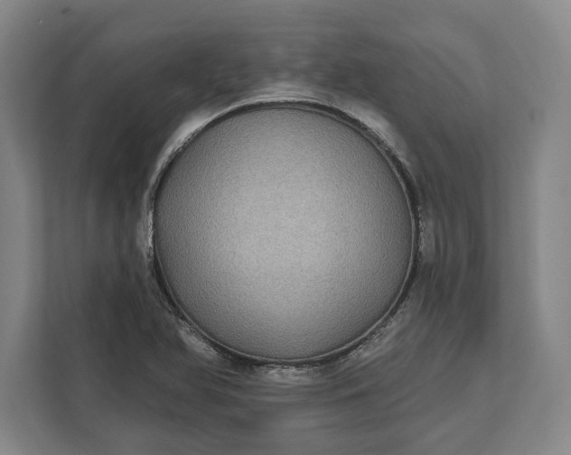 X0000112361366200908271245