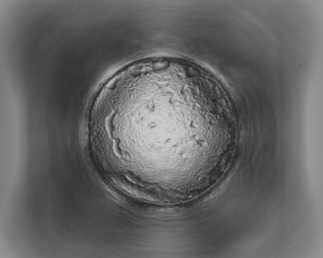 X0000112361367200908271245