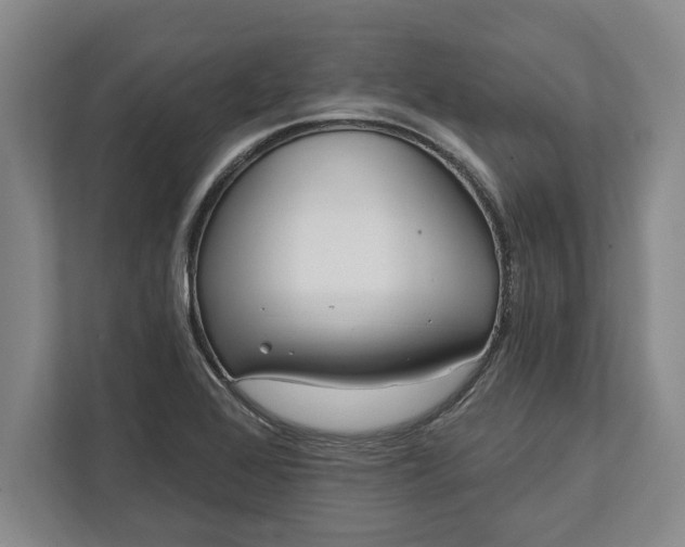 X0000112361368200908271245