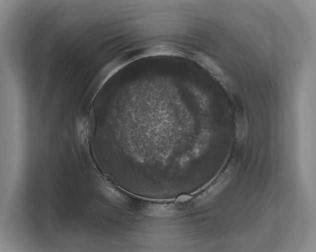 X0000112361369200908271245