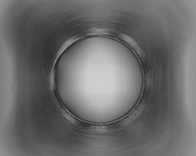 X0000112361370200908271245