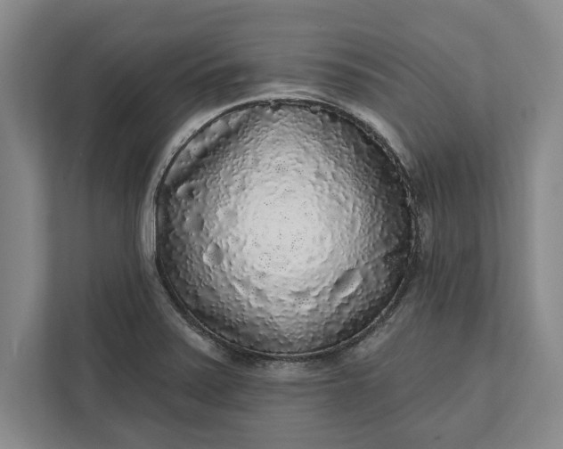 X0000112361371200908271245