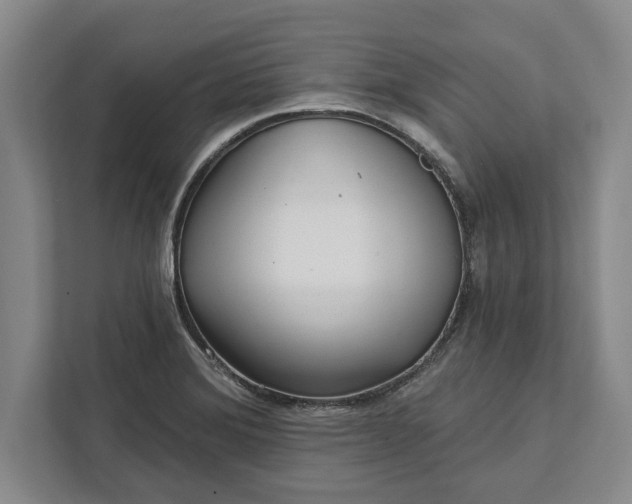 X0000112361372200908271244