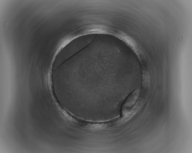 X0000112361373200908271244