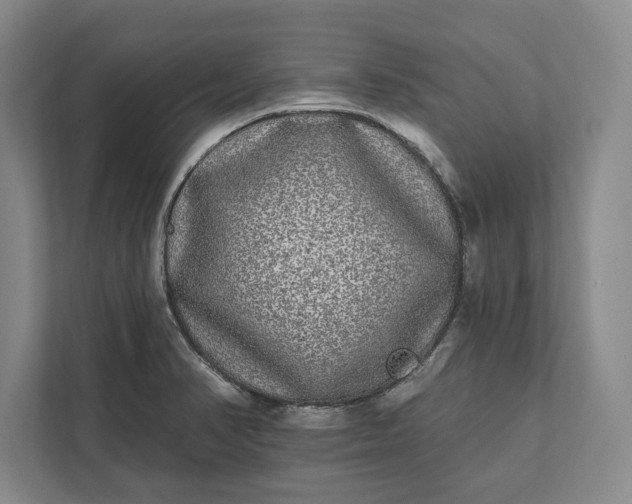 X0000112361374200908271244