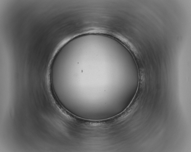 X0000112361375200908271244