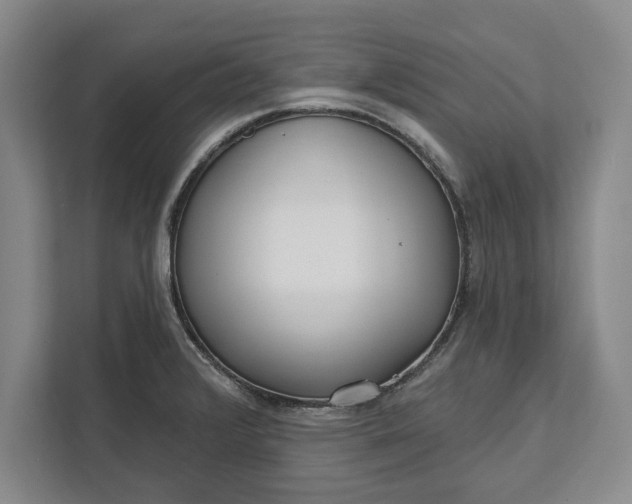 X0000112361376200908271244