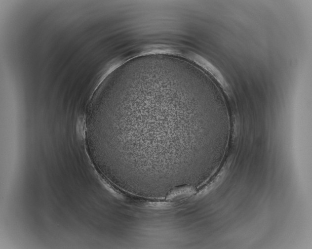 X0000112361377200908271244