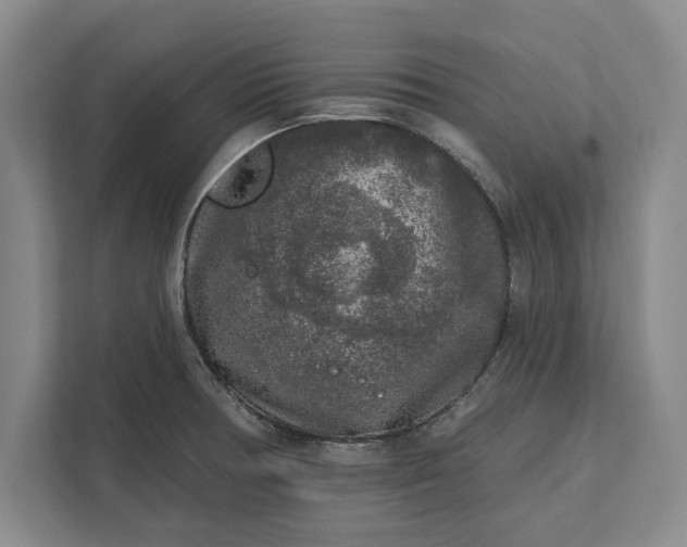 X0000112361378200908271244