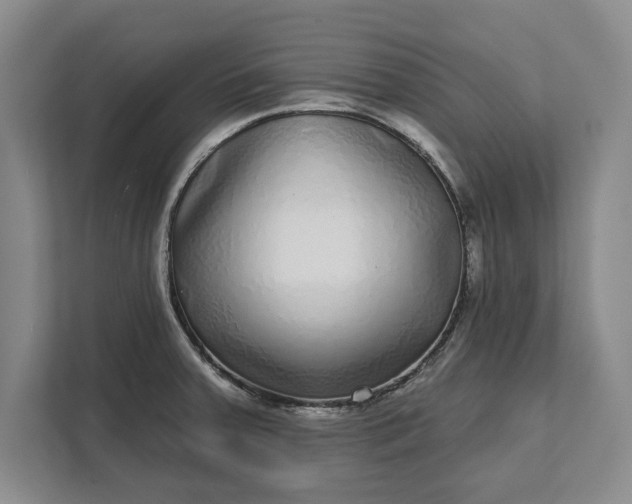 X0000112361379200908271244