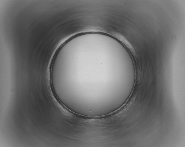 X0000112361380200908271244