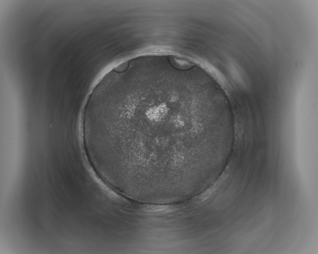 X0000112361382200908271244