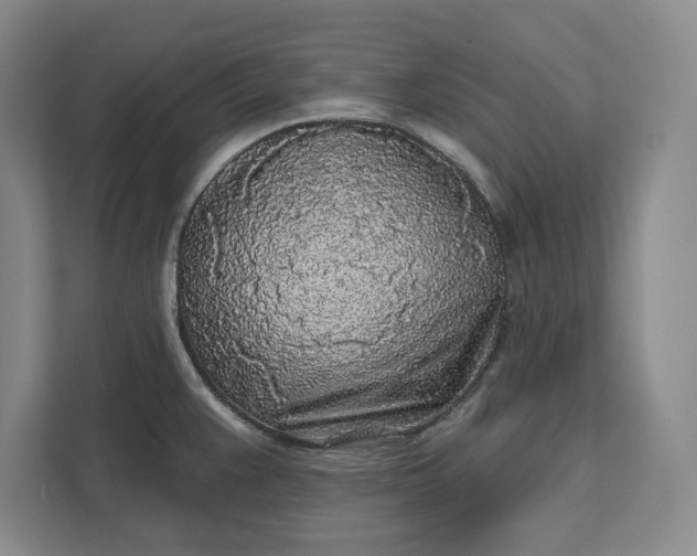 X0000112361383200908271244