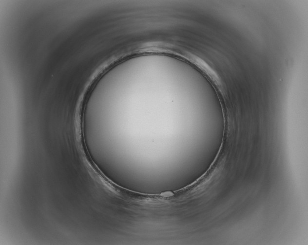 X0000112361384200908271244