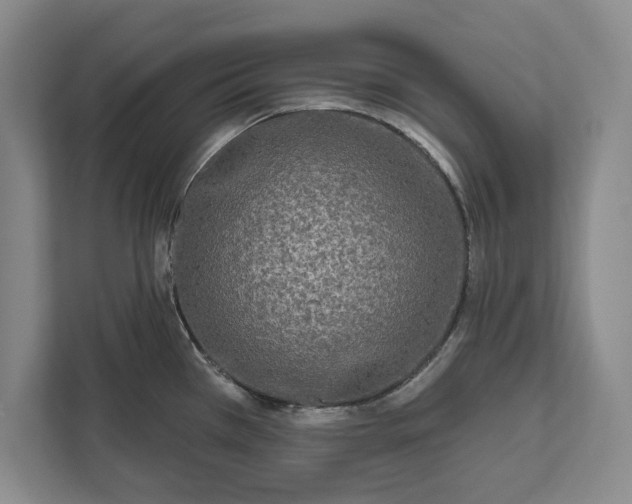 X0000112361385200908271244