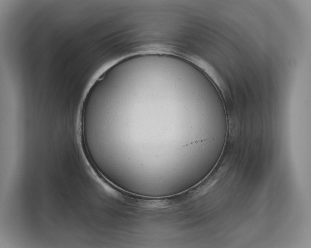 X0000112361387200908271244