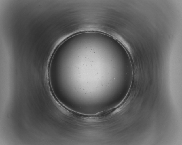 X0000112361388200908271244