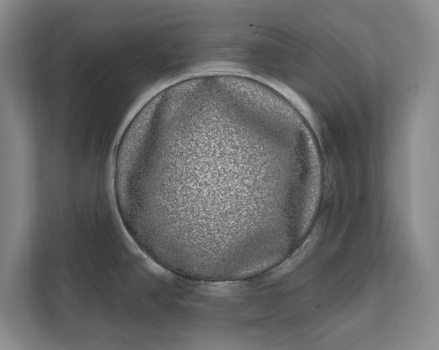 X0000112361390200908271244