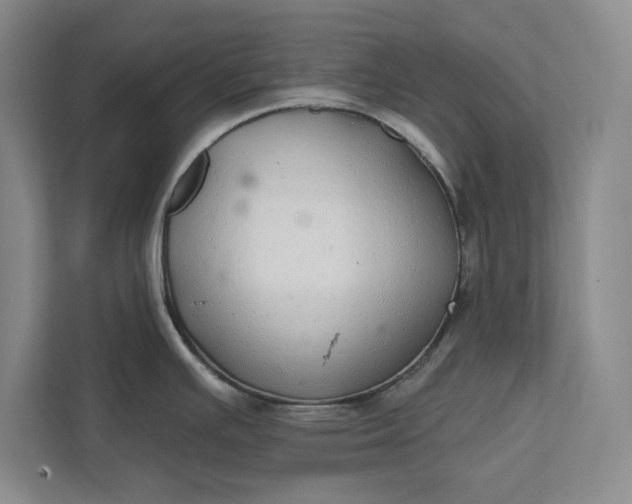 X0000112361391200908271244