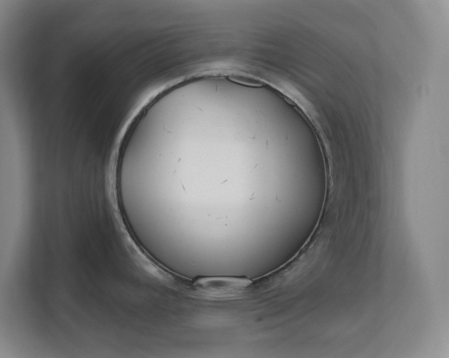 X0000112361392200908271244