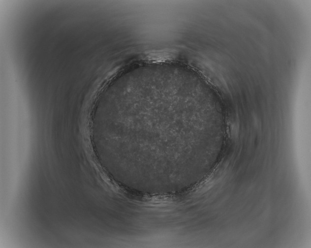 X0000112361393200908271244