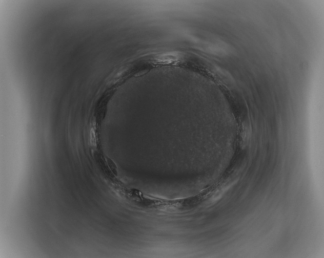 X0000112361394200908271244