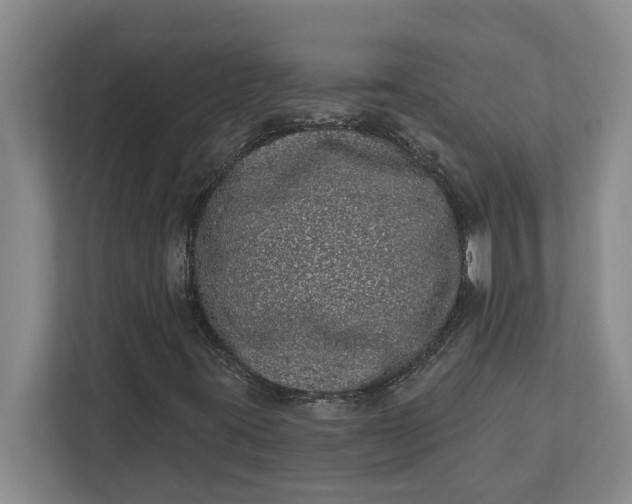 X0000112361395200908271244