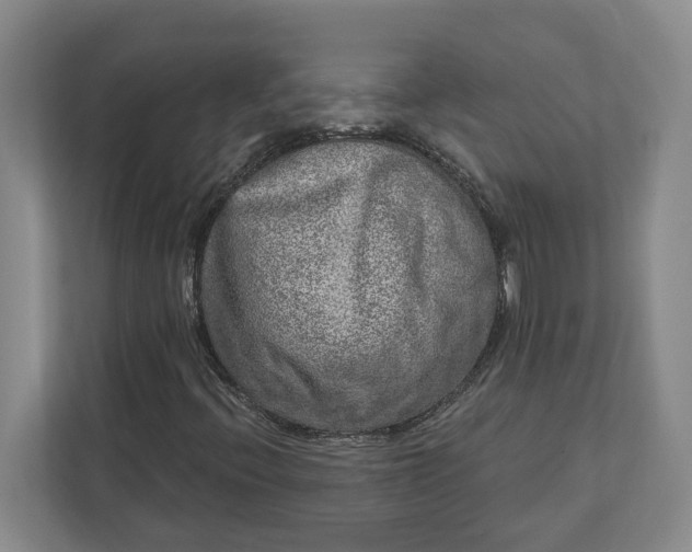 X0000112361396200908271244