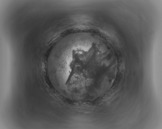 X0000112361397200908271244