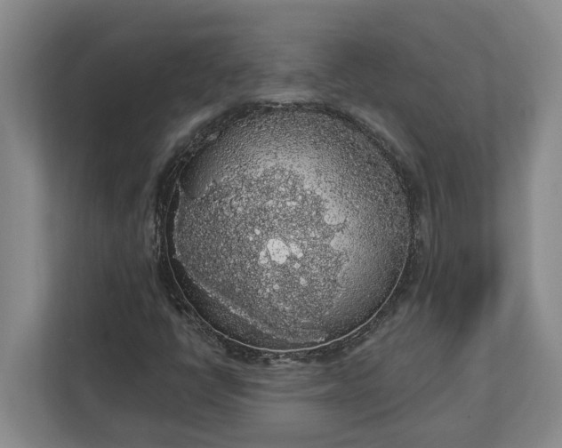 X0000112361398200908271244