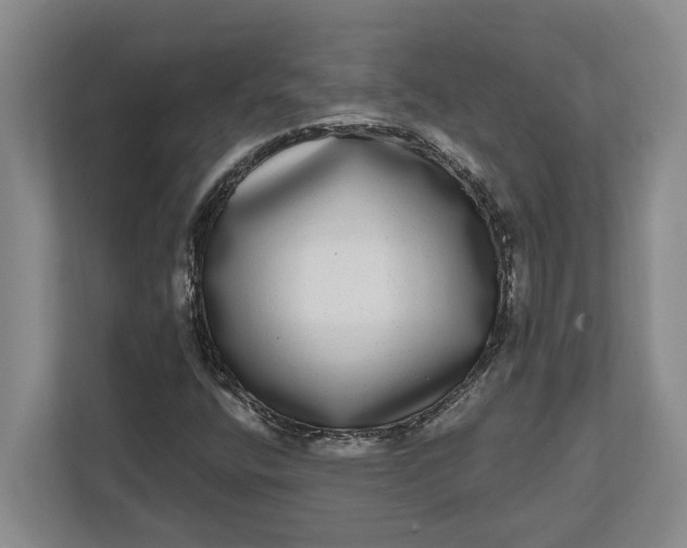 X0000112361400200908271244