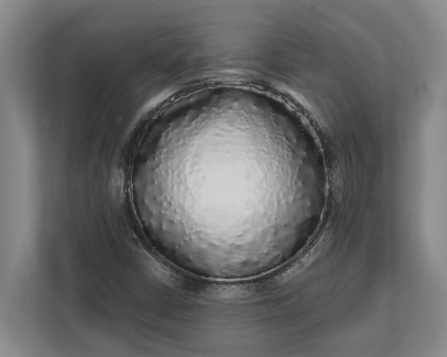 X0000112361402200908271244