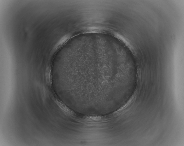 X0000112361403200908271244